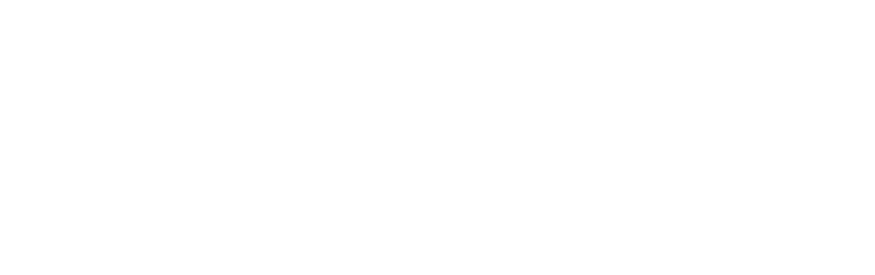 The FA Women's Super League logo